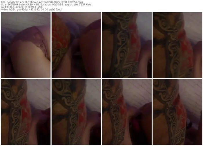 2025/12/31/bongacams-arizona228-00-26-57