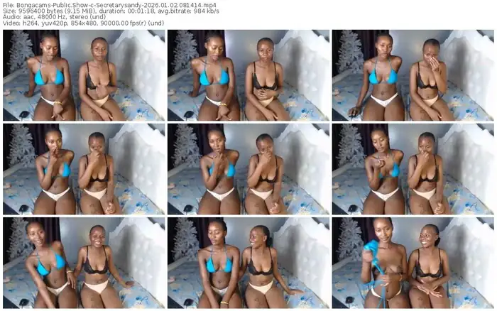 2026/01/02/bongacams-secretarysandy-08-14-14