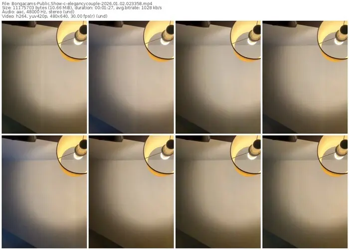 2026/01/02/bongacams-elegancycouple-02-33-58