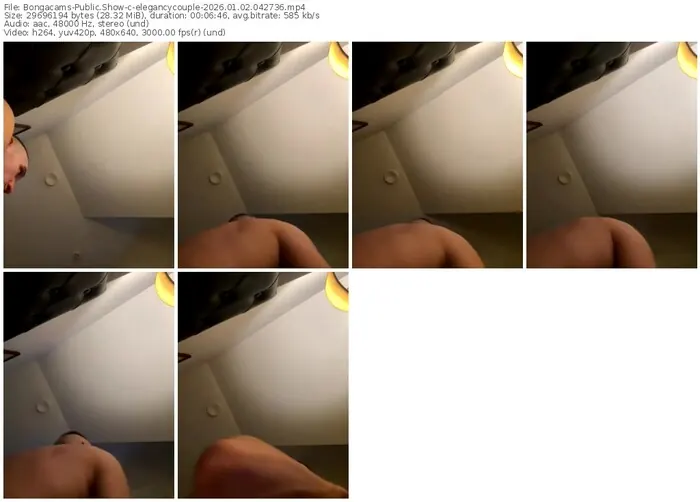 2026/01/02/bongacams-elegancycouple-04-27-36