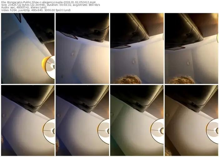 2026/01/02/bongacams-elegancycouple-05-24-12