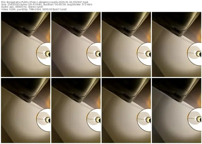 2026/01/02/bongacams-elegancycouple-05-29-47