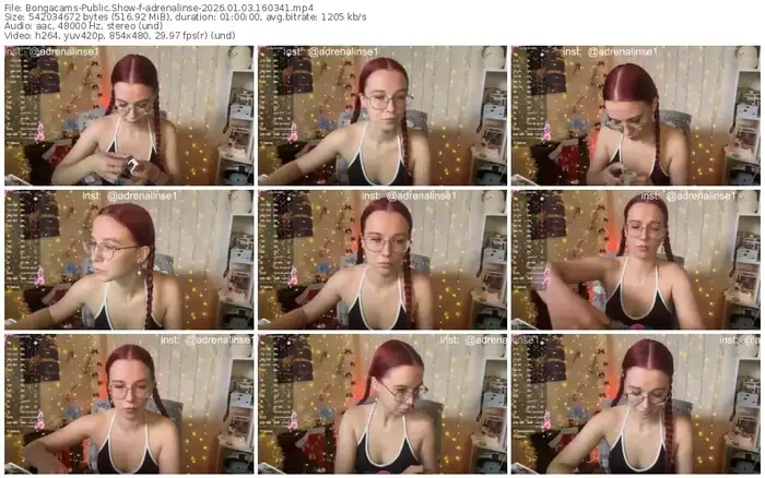 2026/01/03/bongacams-adrenalinse-16-03-41
