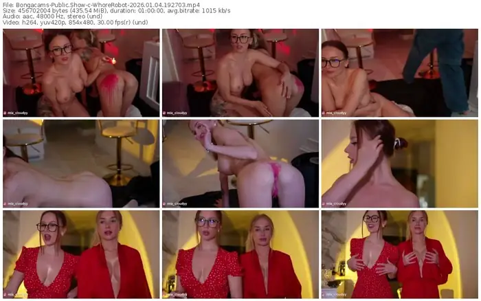 2026/01/04/bongacams-whorerobot-19-27-03