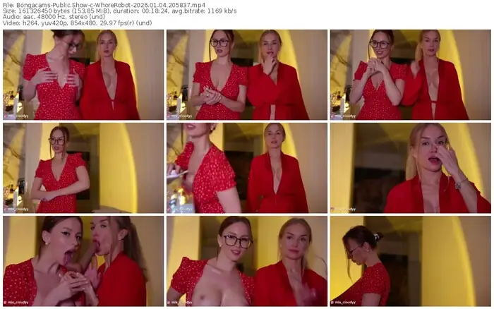2026/01/04/bongacams-whorerobot-20-58-37
