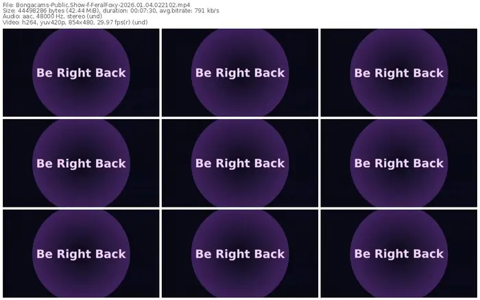 2026/01/04/bongacams-feralfoxy-02-21-02