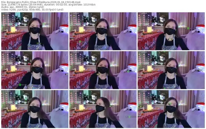 2026/01/04/bongacams-redaura-15-01-48