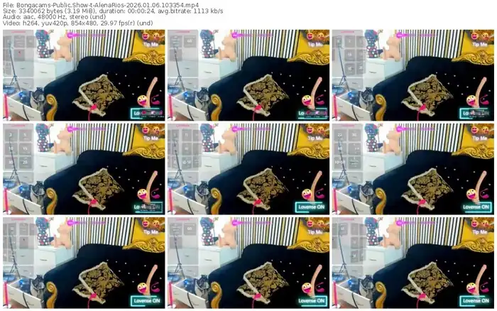 2026/01/06/bongacams-alenarios-10-33-54