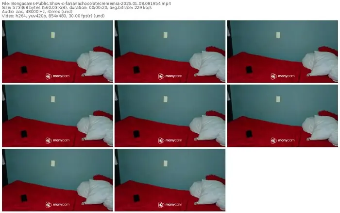 2026/01/08/bongacams-farianachocolatecrememia-08-19-54