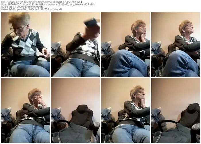 2026/01/08/bongacams-reife-dame-15-32-12