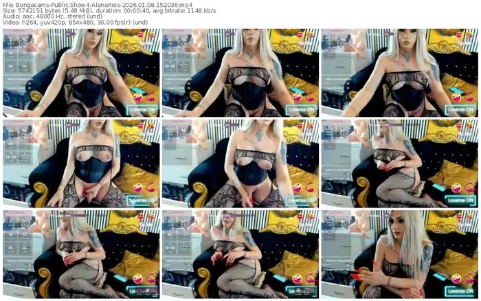 2026/01/08/bongacams-alenarios-15-20-36