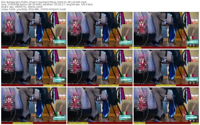 2026/01/08/bongacams-gayfigo19stup-10-14-04
