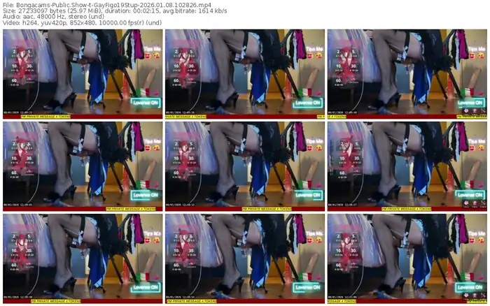 2026/01/08/bongacams-gayfigo19stup-10-28-26
