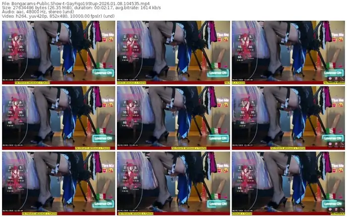 2026/01/08/bongacams-gayfigo19stup-10-45-35