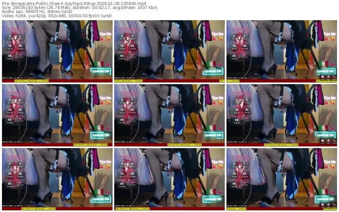 2026/01/08/bongacams-gayfigo19stup-10-58-46