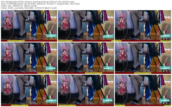 2026/01/08/bongacams-gayfigo19stup-10-59-52