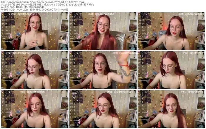 2026/01/15/bongacams-adrenalinse-18-20-25