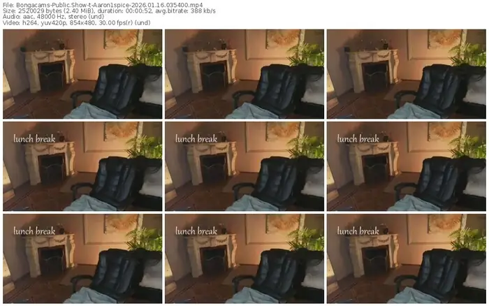 2026/01/16/bongacams-aaron1spice-03-54-00