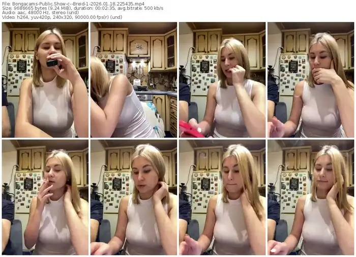 2026/01/18/bongacams--breid-1-22-54-35
