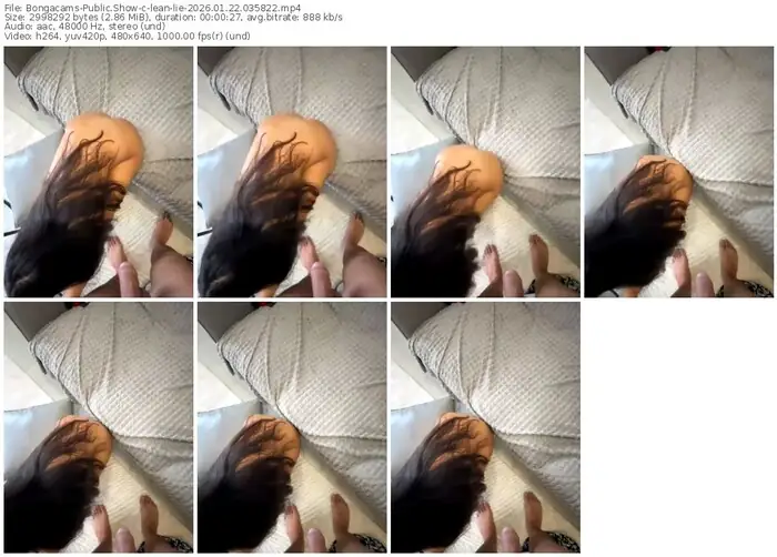 2026/01/22/bongacams-lean-lie-03-58-22