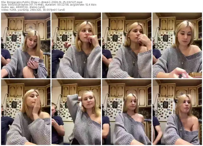 2026/01/25/bongacams--breid-1-03-15-27