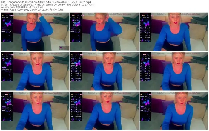 2026/01/25/bongacams-alexin-mcqueen-01-16-32