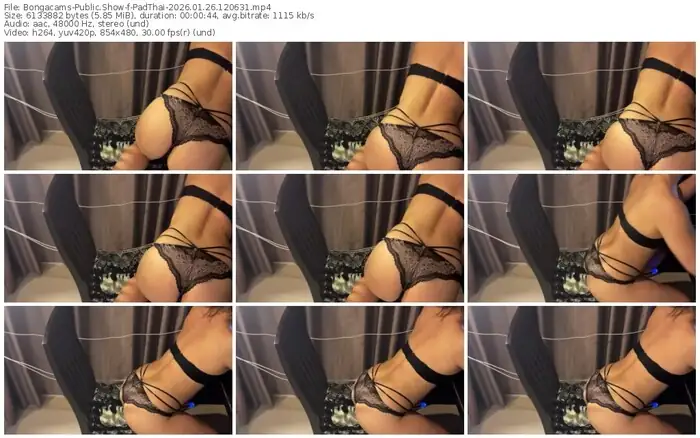 2026/01/26/bongacams-padthai-12-06-31