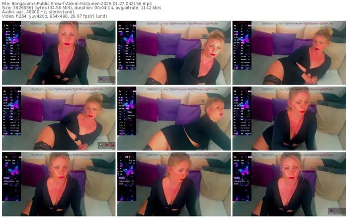 2026/01/27/bongacams-alexin-mcqueen-04-21-56