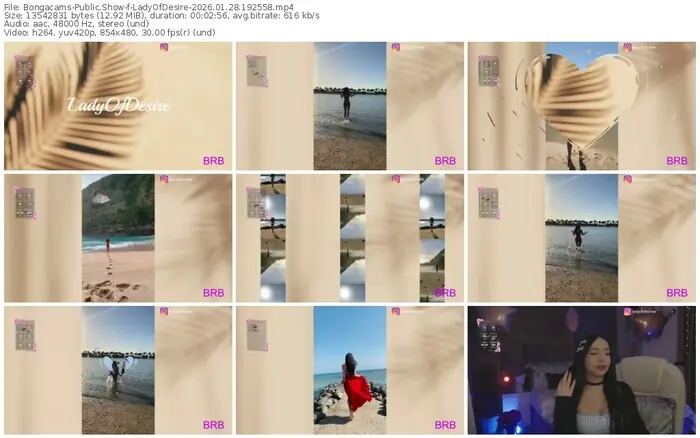 2026/01/28/bongacams-ladyofdesire-19-25-58