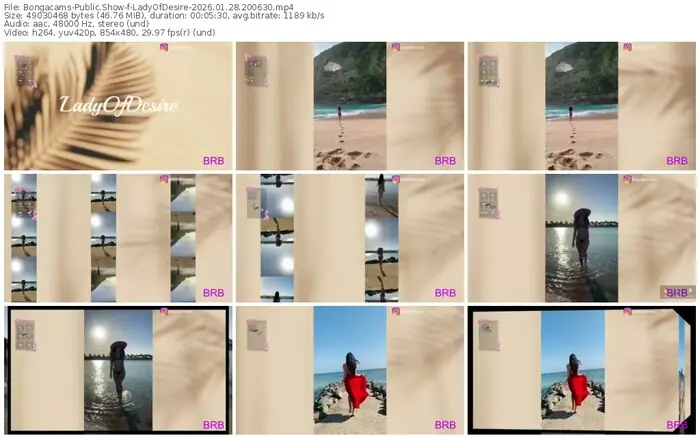 2026/01/28/bongacams-ladyofdesire-20-06-30