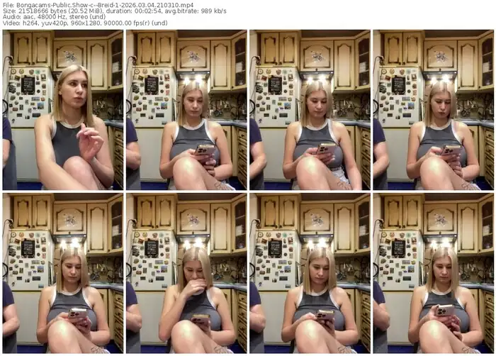 2026/03/04/bongacams--breid-1-21-03-10