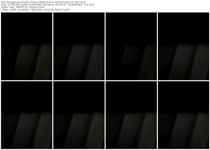 2026/03/08/bongacams-sallyeleins-13-13-26