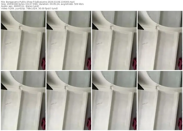 2026/03/08/bongacams-sallyeleins-13-40-49