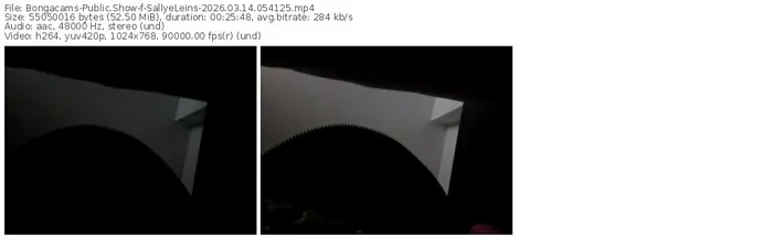 2026/03/14/bongacams-sallyeleins-05-41-25