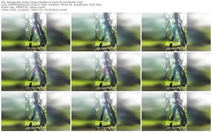 2026/03/24/bongacams-redaura-06-04-01