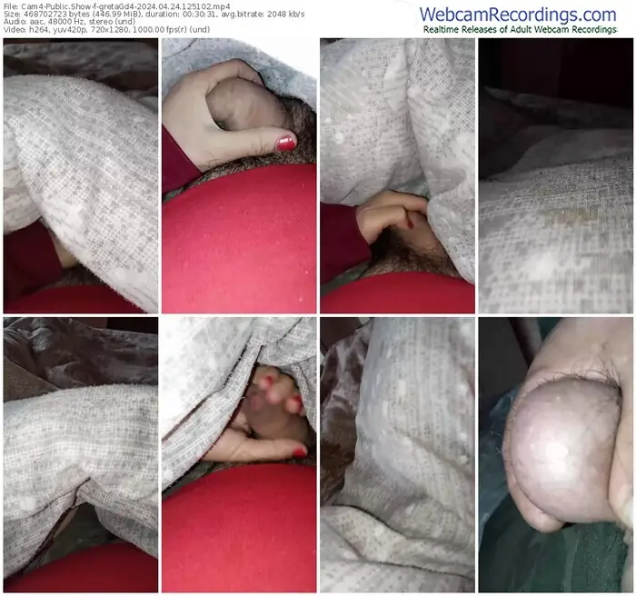 2024/04/24/cam4-gretagd4-12-51-02