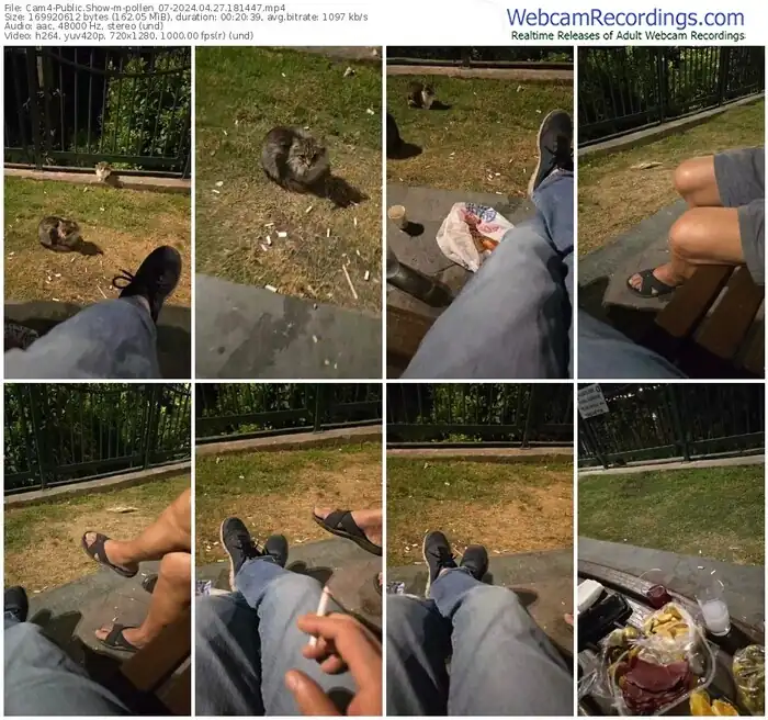 2024/04/27/cam4-pollen_07-18-14-47