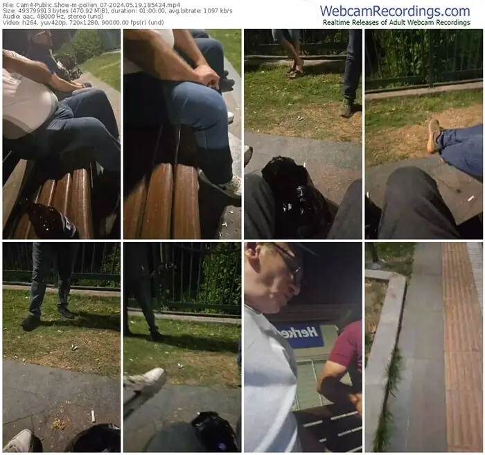 2024/05/19/cam4-pollen_07-18-54-34