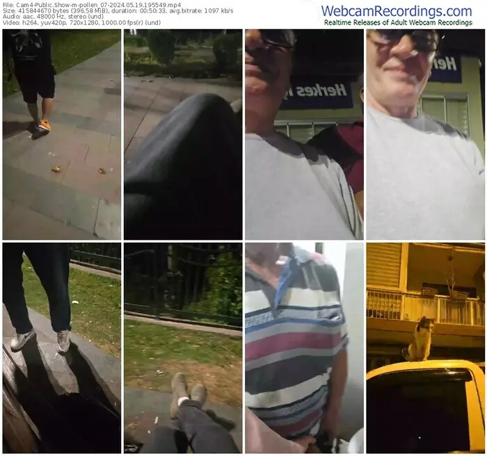 2024/05/19/cam4-pollen_07-19-55-49