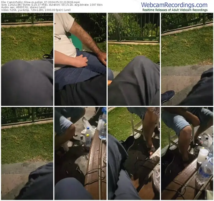 2024/05/22/cam4-pollen_07-21-06-39