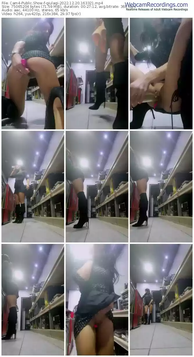 2022/12/20/cam4-giulagi-16-33-21