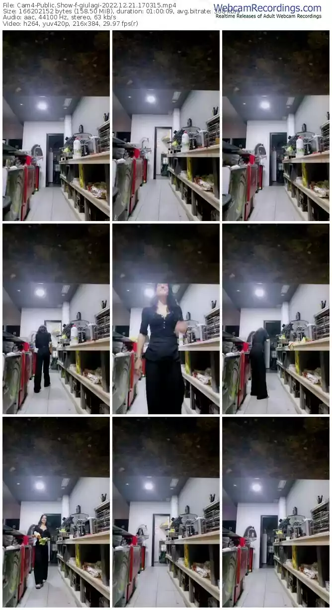 2022/12/21/cam4-giulagi-17-03-15