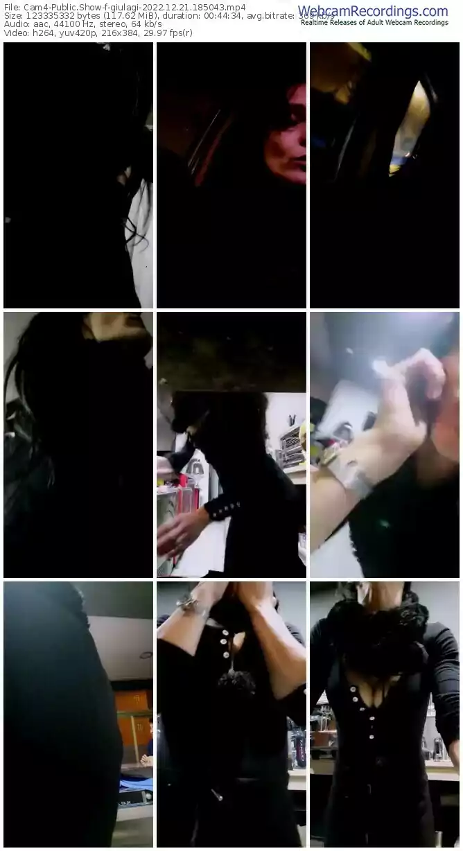 2022/12/21/cam4-giulagi-18-50-43