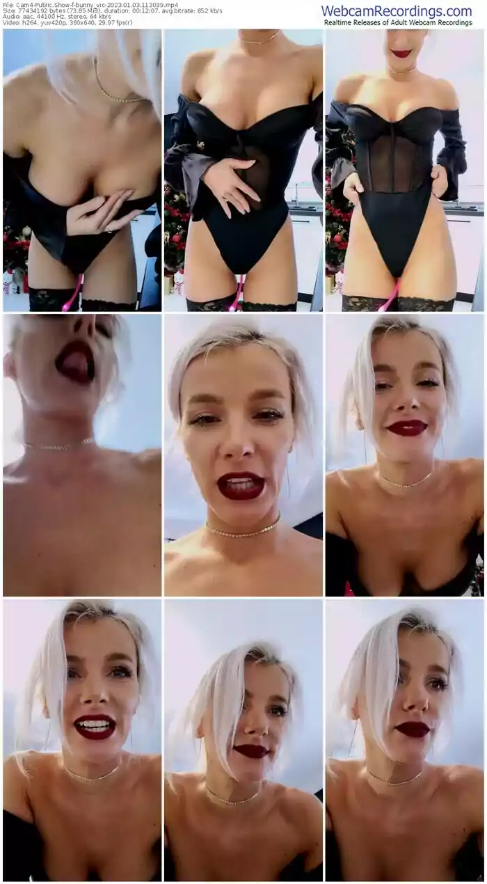 2023/01/03/cam4-bunny_vic-11-30-39