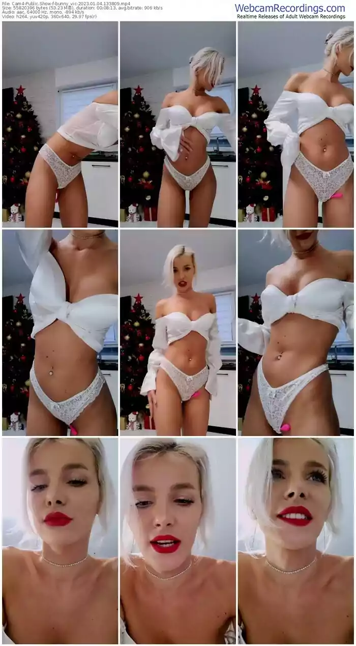 2023/01/04/cam4-bunny_vic-13-38-09