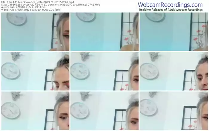 2023/01/12/cam4-ce_leste-15-12-20