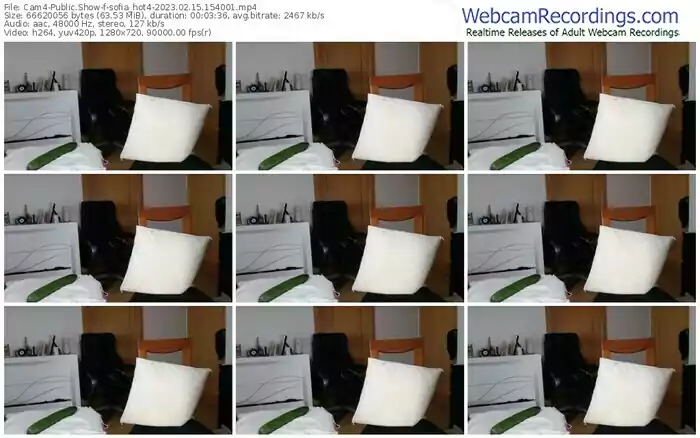 2023/02/15/cam4-sofia_hot4-15-40-01