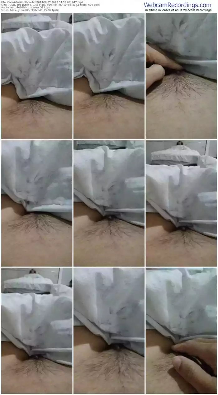 2023/04/08/cam4-inthetoilet-03-10-47