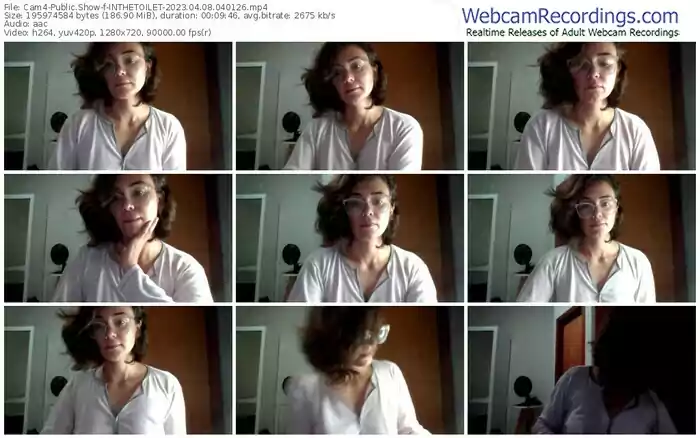 2023/04/08/cam4-inthetoilet-04-01-26