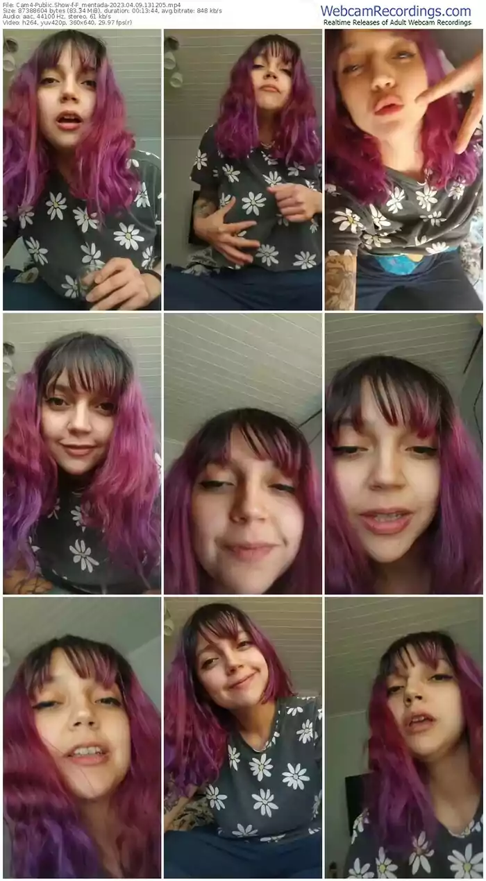 2023/04/09/cam4-f_mentada-13-12-05